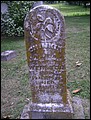 Webster, Chickie, Webster Cem, Maury Co, TN.jpg