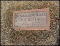Wells, Ida M Brothers, Rose Hill Cem, Muhlenburg Co, KY.jpg