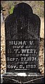 West, Buna Vista Killebrew, Antioch Cem, Washington Co, GA.jpg