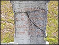 Woodham, Lourena Jane, Hebron U M Cem, Lee Co, SC.jpg