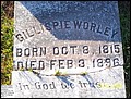 Worley, Nicholas Gillispie, Harmony Baptist Cem, Covington Co, AL.jpg
