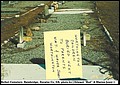 Worthington, Infants, Bethel Cem, Decatur Co, GA.jpg