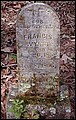 Wyatt, Lucinda Frances Roark, Shockleys Chapel Cem, Walker Co, TX.jpg