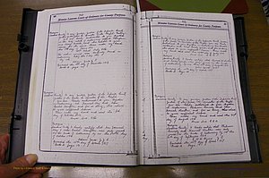 Laurens Co, GA Marriages 1809 - 1885, P 010-011.JPG