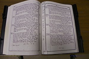 Laurens Co, GA Marriages 1809 - 1885, P 224-225.JPG
