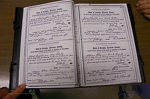 Laurens Co, GA, Marriages 1870 - 1879, P 020-021.JPG