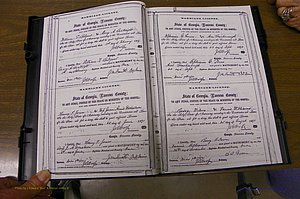 Laurens Co, GA, Marriages 1870 - 1879, P 028-029.JPG
