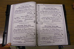 Laurens Co, GA, Marriages 1870 - 1879, P 052-053.JPG