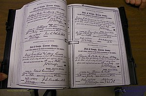 Laurens Co, GA, Marriages 1870 - 1879, P 164-165.JPG