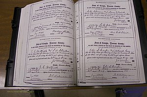 Laurens Co, GA, Marriages 1870 - 1879, P 202-203.JPG