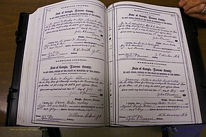 Laurens Co, GA, Marriages 1870 - 1879, P 294-295.JPG