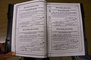 Laurens Co, GA, Marriages 1879 - 1886, P 008-009.JPG