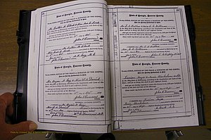 Laurens Co, GA, Marriages 1879 - 1886, P 028-029.JPG