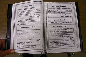 Laurens Co, GA, Marriages 1879 - 1886, P 108-019.JPG