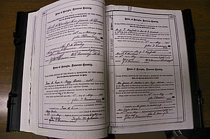 Laurens Co, GA, Marriages 1879 - 1886, P 108-109.JPG