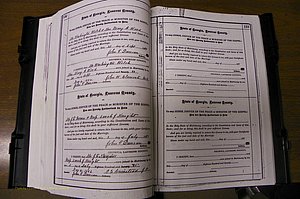 Laurens Co, GA, Marriages 1879 - 1886, P 132-133.JPG