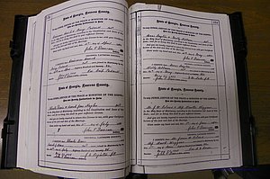 Laurens Co, GA, Marriages 1879 - 1886, P 172-173.JPG