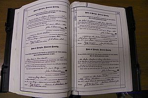Laurens Co, GA, Marriages 1879 - 1886, P 174-175.JPG