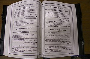 Laurens Co, GA, Marriages 1879 - 1886, P 192-193.JPG