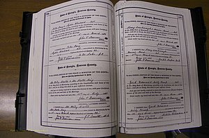 Laurens Co, GA, Marriages 1879 - 1886, P 194-195.JPG