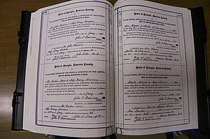 Laurens Co, GA, Marriages 1879 - 1886, P 206-207.JPG