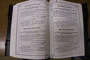 Laurens Co, GA, Marriages 1879 - 1886, P 244-245.JPG