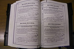 Laurens Co, GA, Marriages 1879 - 1886, P 254-255.JPG