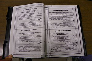 Laurens Co, GA, Marriages 1879 - 1886, P 350-351.JPG