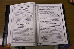 Laurens Co, GA, Marriages 1879 - 1886, P 358-359.JPG