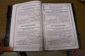 Laurens Co, GA, Marriages 1879 - 1886, P 388-389.JPG