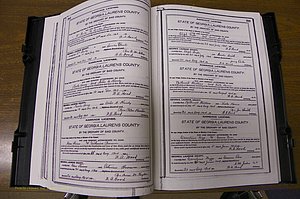Laurens Co, GA, Marriages Book M, 1905 - 1915, Colored, P 382-383.JPG