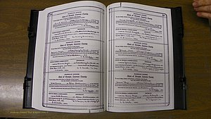Laurens Co, GA, Marriages Book Q, 1915 - 1933, Colored, P 216-217.JPG