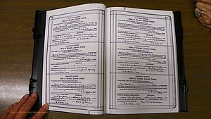 Laurens Co, GA, Marriages Book Q, 1915 - 1933, Colored, P 276-277.JPG