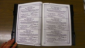 Laurens Co, GA, Marriages Book Q, 1915 - 1933, Colored, P 284-285.JPG