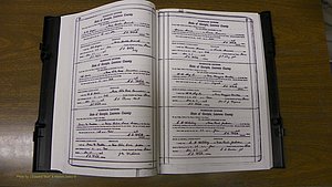 Laurens Co, GA, Marriages Book S, 1924 - 1934, White, P 016-017.JPG