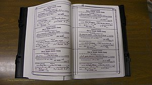 Laurens Co, GA, Marriages Book S, 1924 - 1934, White, P 020-021.JPG