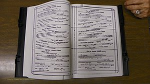 Laurens Co, GA, Marriages Book S, 1924 - 1934, White, P 028-029.JPG