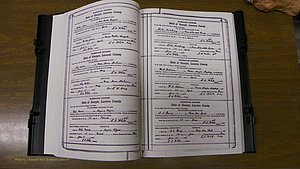 Laurens Co, GA, Marriages Book S, 1924 - 1934, White, P 046-047.JPG