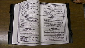 Laurens Co, GA, Marriages Book S, 1924 - 1934, White, P 090-091.JPG