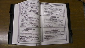 Laurens Co, GA, Marriages Book S, 1924 - 1934, White, P 094-095.JPG
