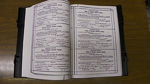 Laurens Co, GA, Marriages Book S, 1924 - 1934, White, P 096-097.JPG
