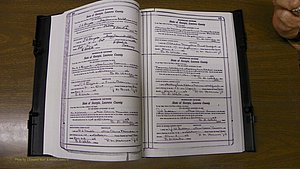 Laurens Co, GA, Marriages Book S, 1924 - 1934, White, P 110-111.JPG