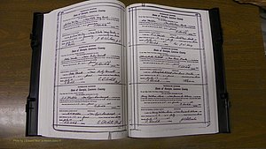 Laurens Co, GA, Marriages Book S, 1924 - 1934, White, P 156-157.JPG