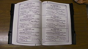Laurens Co, GA, Marriages Book S, 1924 - 1934, White, P 160-161.JPG