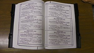 Laurens Co, GA, Marriages Book S, 1924 - 1934, White, P 164-165.JPG