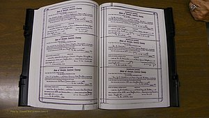 Laurens Co, GA, Marriages Book S, 1924 - 1934, White, P 166-167.JPG