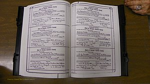 Laurens Co, GA, Marriages Book S, 1924 - 1934, White, P 170-171.JPG
