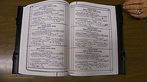 Laurens Co, GA, Marriages Book S, 1924 - 1934, White, P 184-185.JPG