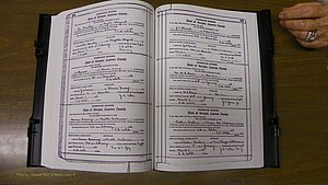 Laurens Co, GA, Marriages Book S, 1924 - 1934, White, P 204-205.JPG