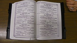 Laurens Co, GA, Marriages Book S, 1924 - 1934, White, P 206-207.JPG